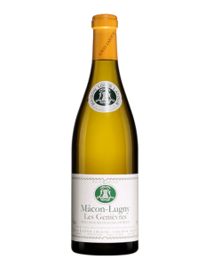 LATOR MACON LUGNY